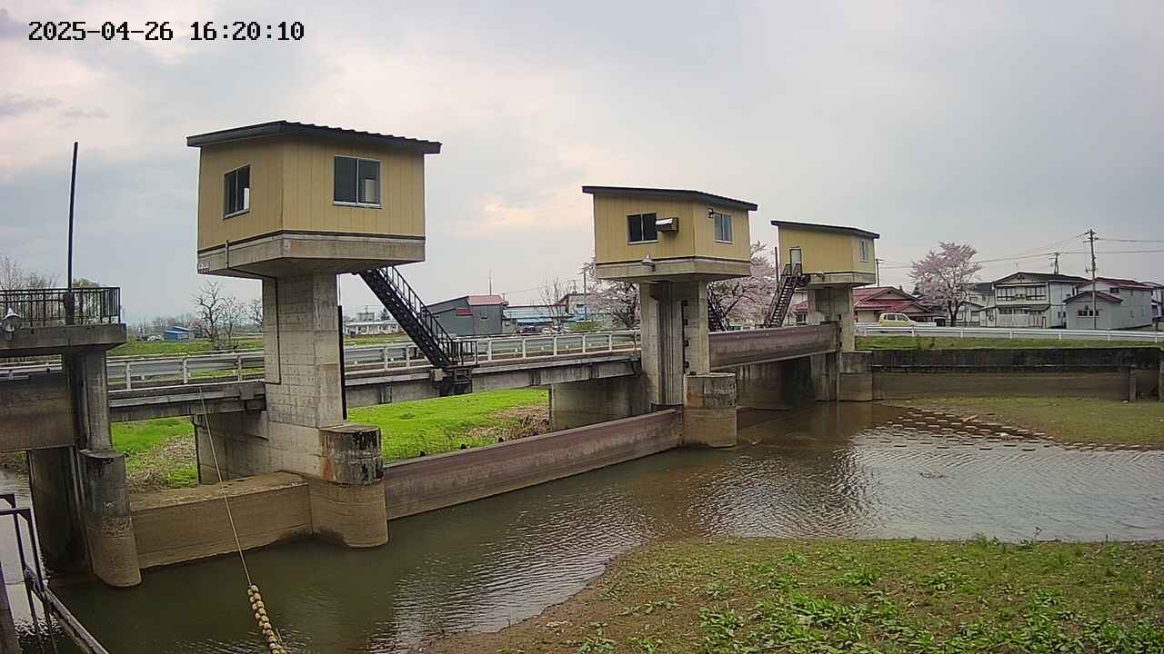 area1-20250426162012.jpg