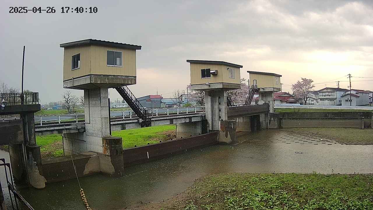 area1-20250426174012.jpg