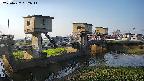 area1-20250427062015.jpg