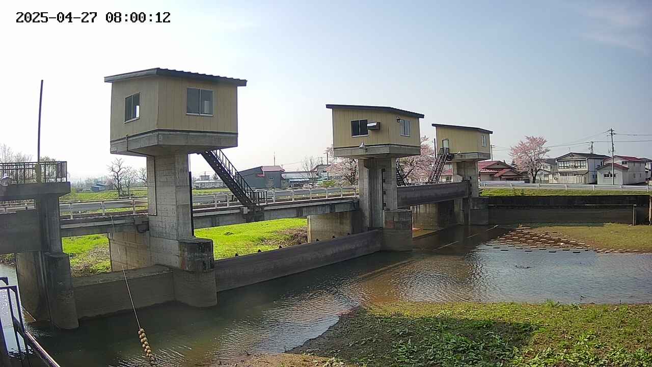 area1-20250427080013.jpg
