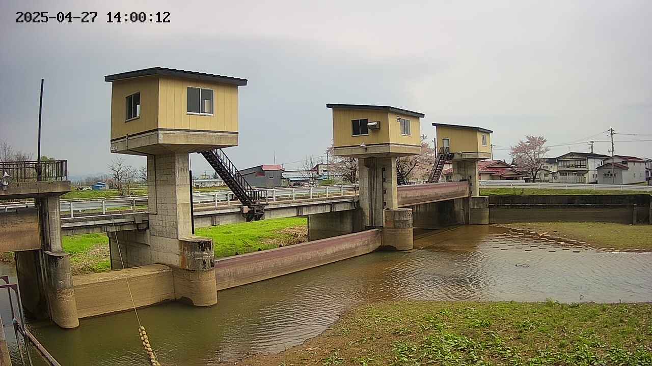 area1-20250427140014.jpg