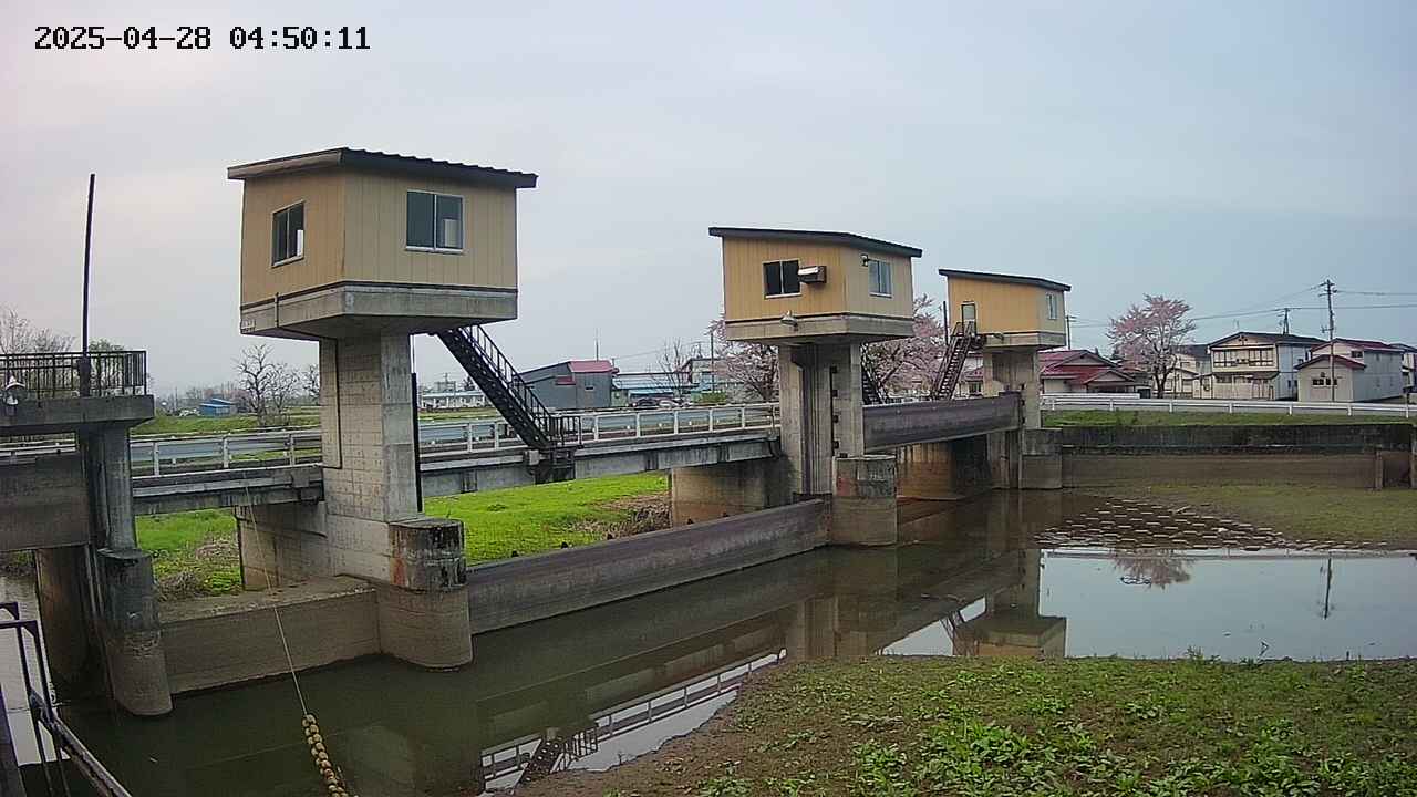 area1-20250428045012.jpg