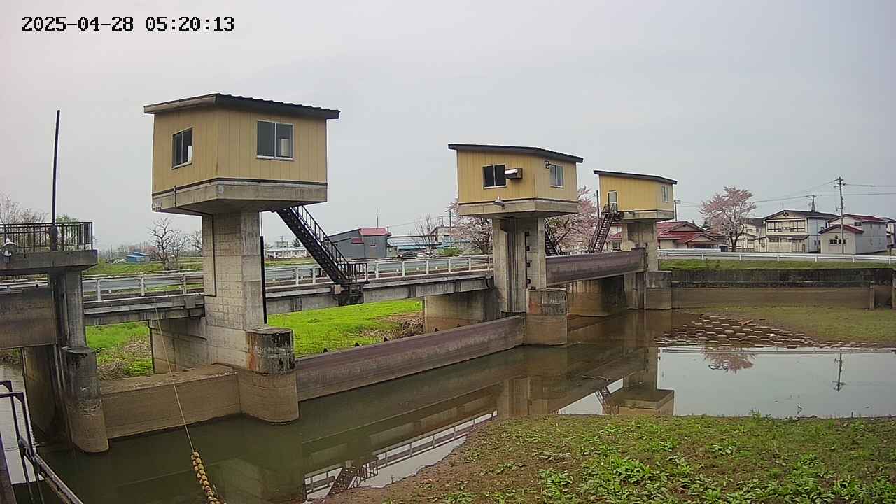 area1-20250428052014.jpg