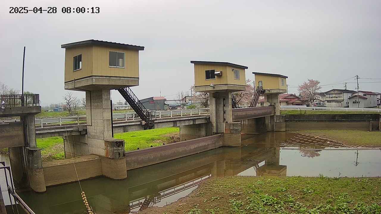 area1-20250428080014.jpg