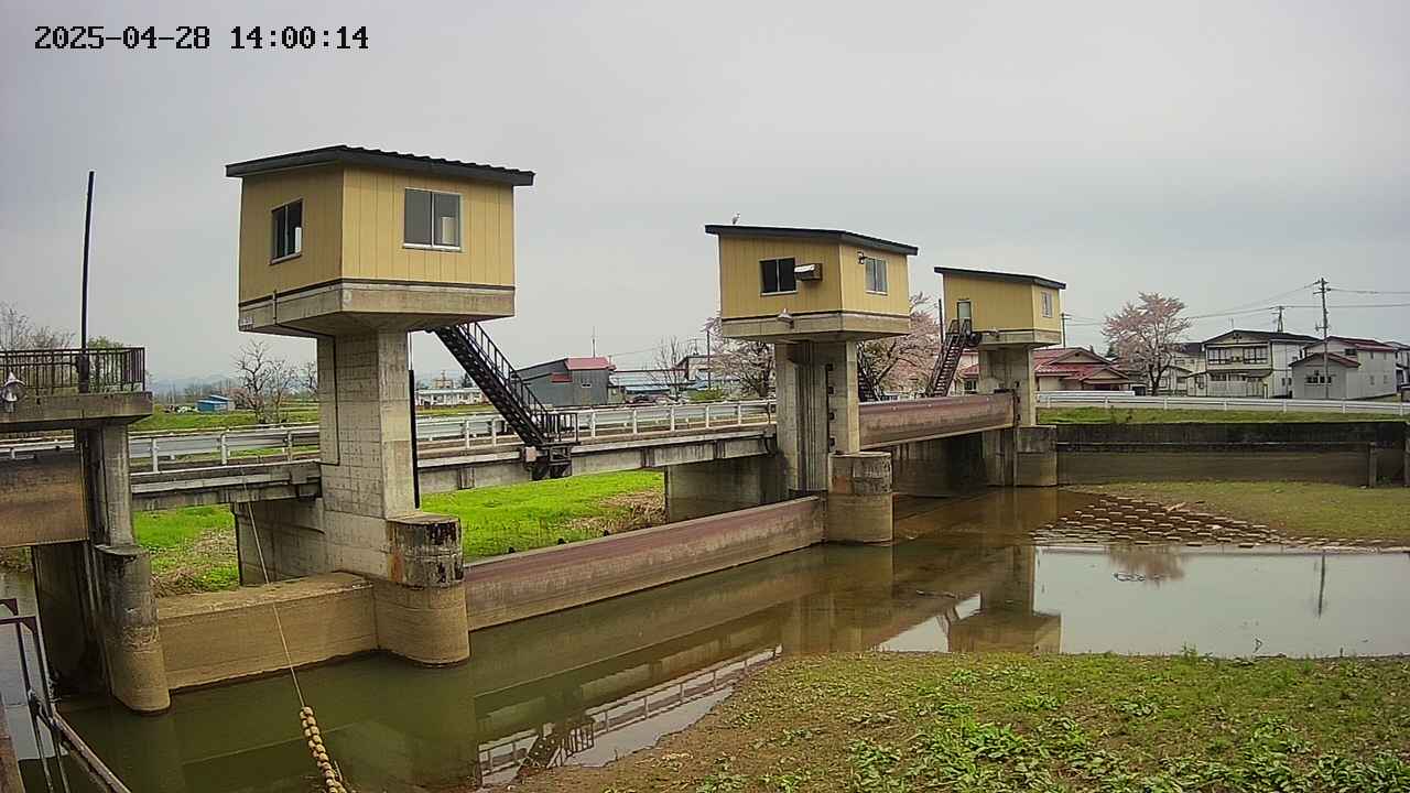 area1-20250428140015.jpg