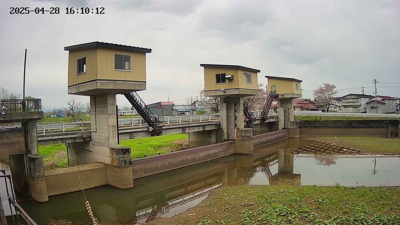 area1-20250428161013.jpg