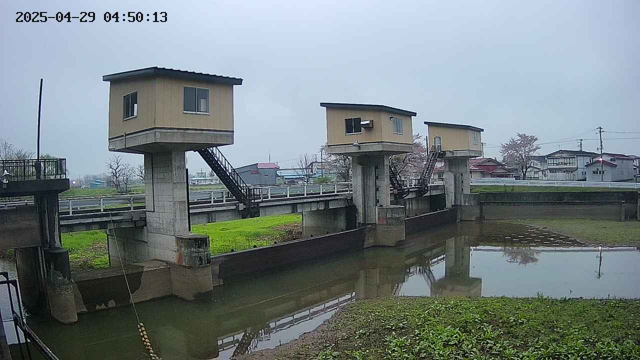 area1-20250429045014.jpg