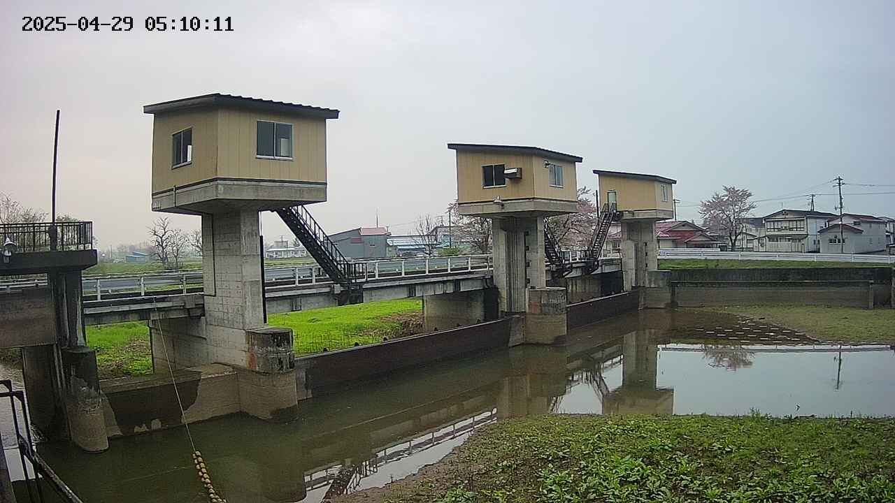 area1-20250429051013.jpg
