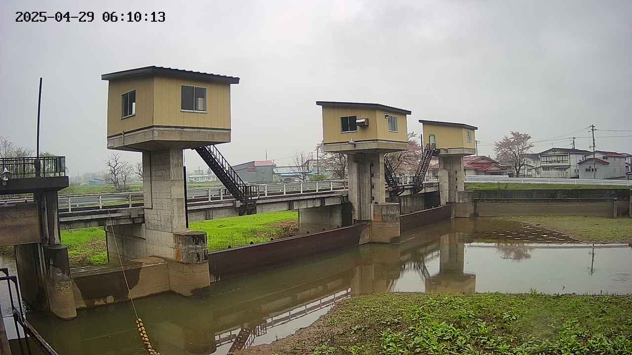 area1-20250429061015.jpg