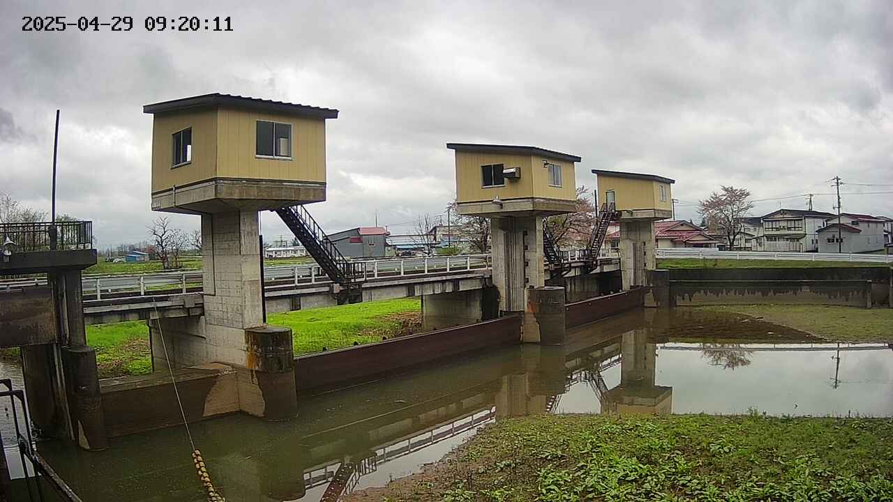 area1-20250429092013.jpg