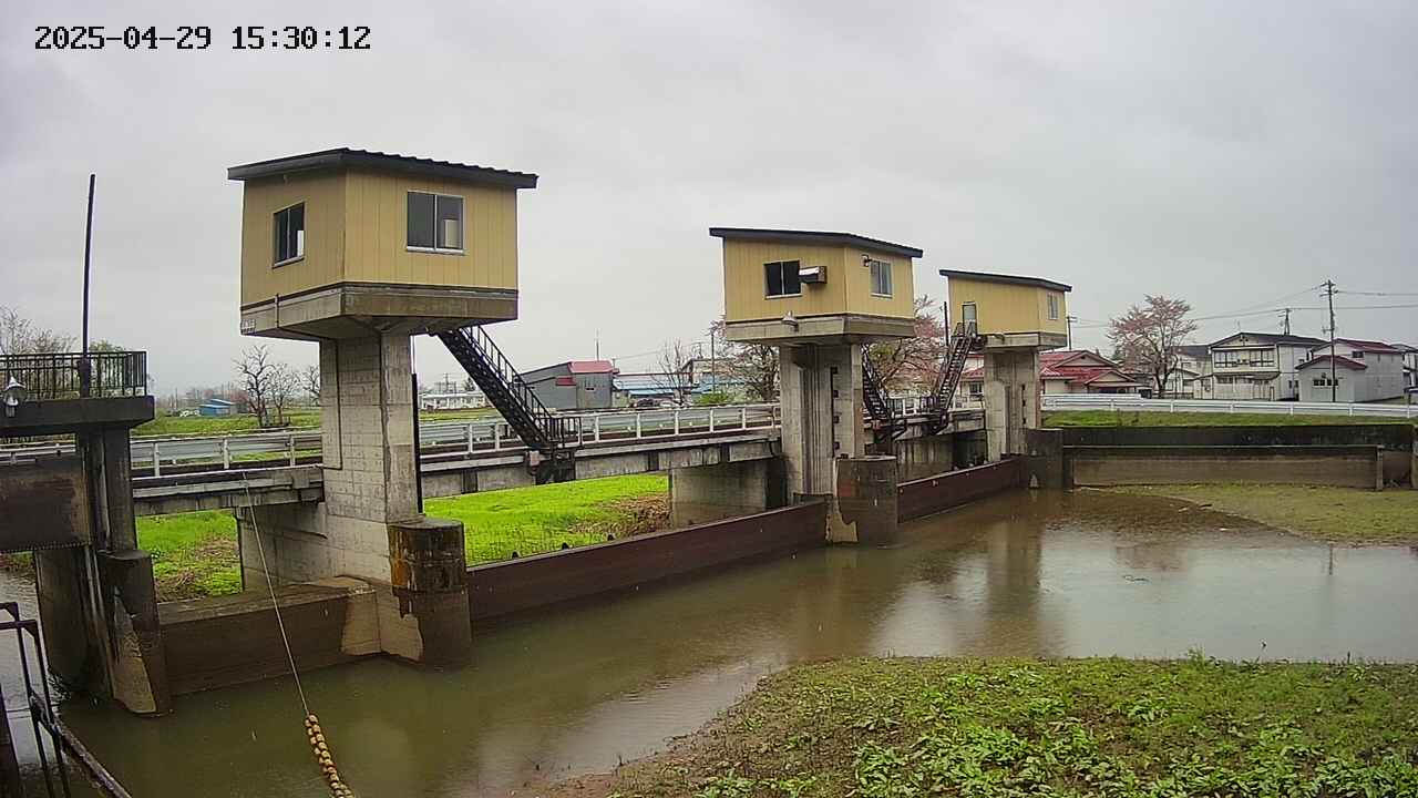 area1-20250429153015.jpg