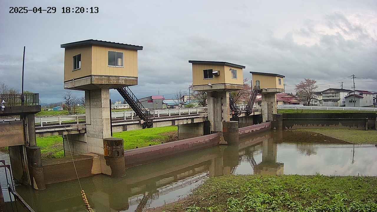 area1-20250429182015.jpg