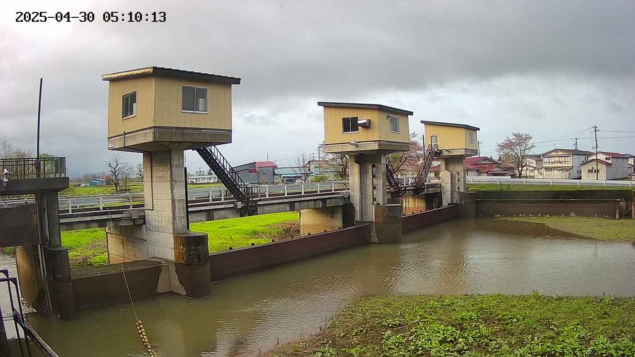 area1-20250430051014.jpg