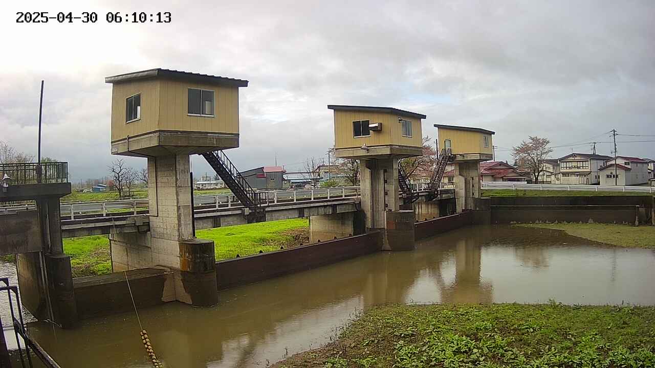 area1-20250430061014.jpg