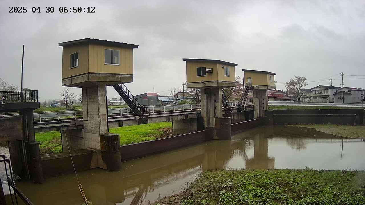 area1-20250430065013.jpg