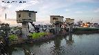 area1-20250502050015.jpg