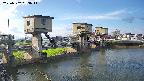 area1-20250502063016.jpg