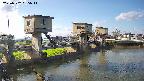 area1-20250502065013.jpg