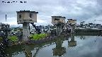 area1-20250502183012.jpg