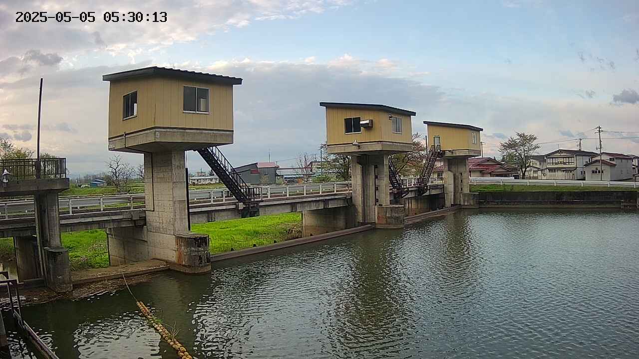 area1-20250505053014.jpg