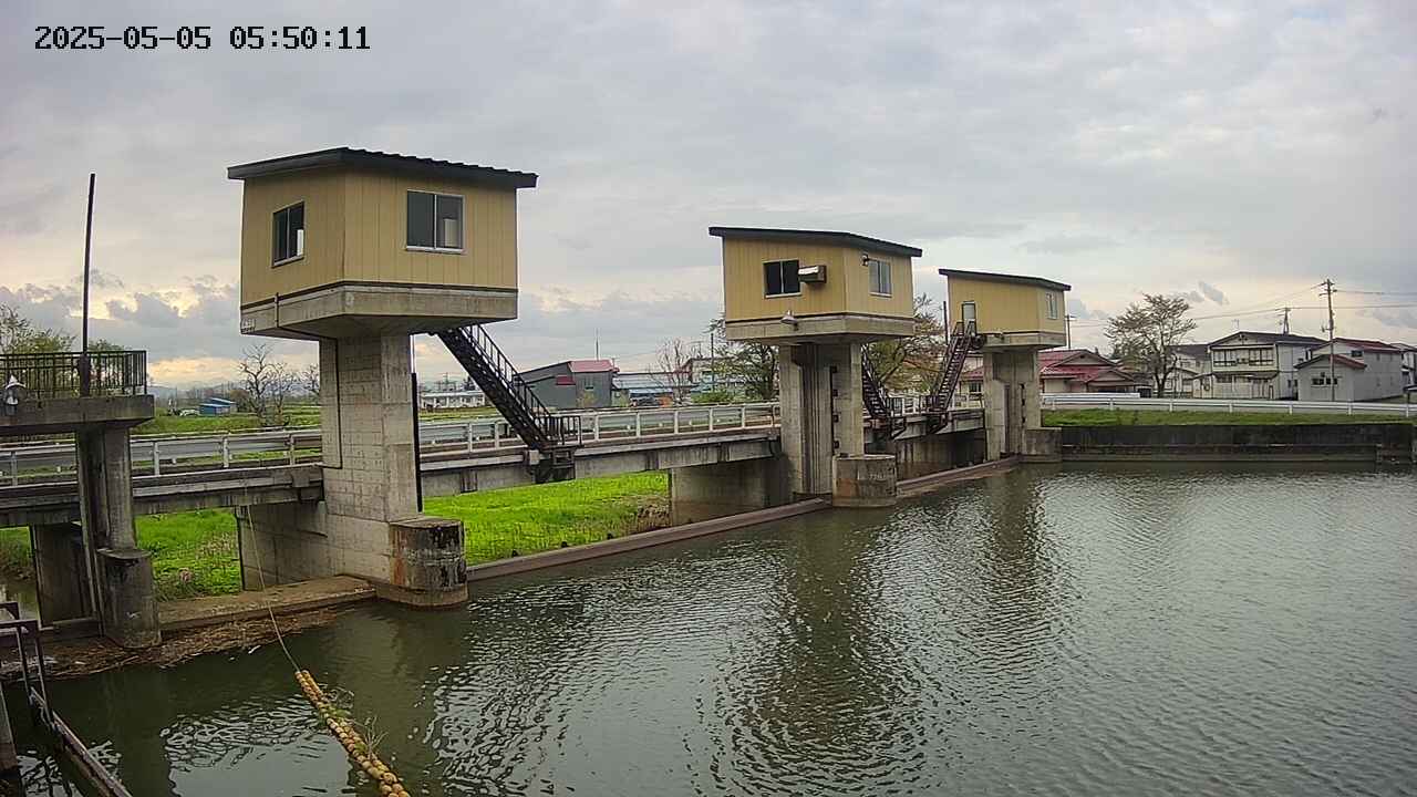 area1-20250505055012.jpg