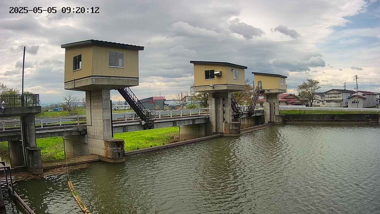 area1-20250505092014.jpg
