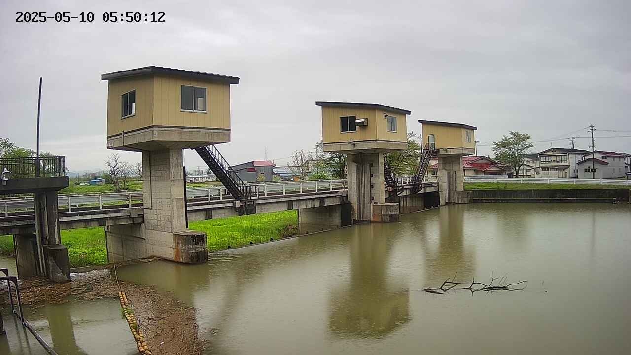 area1-20250510055013.jpg