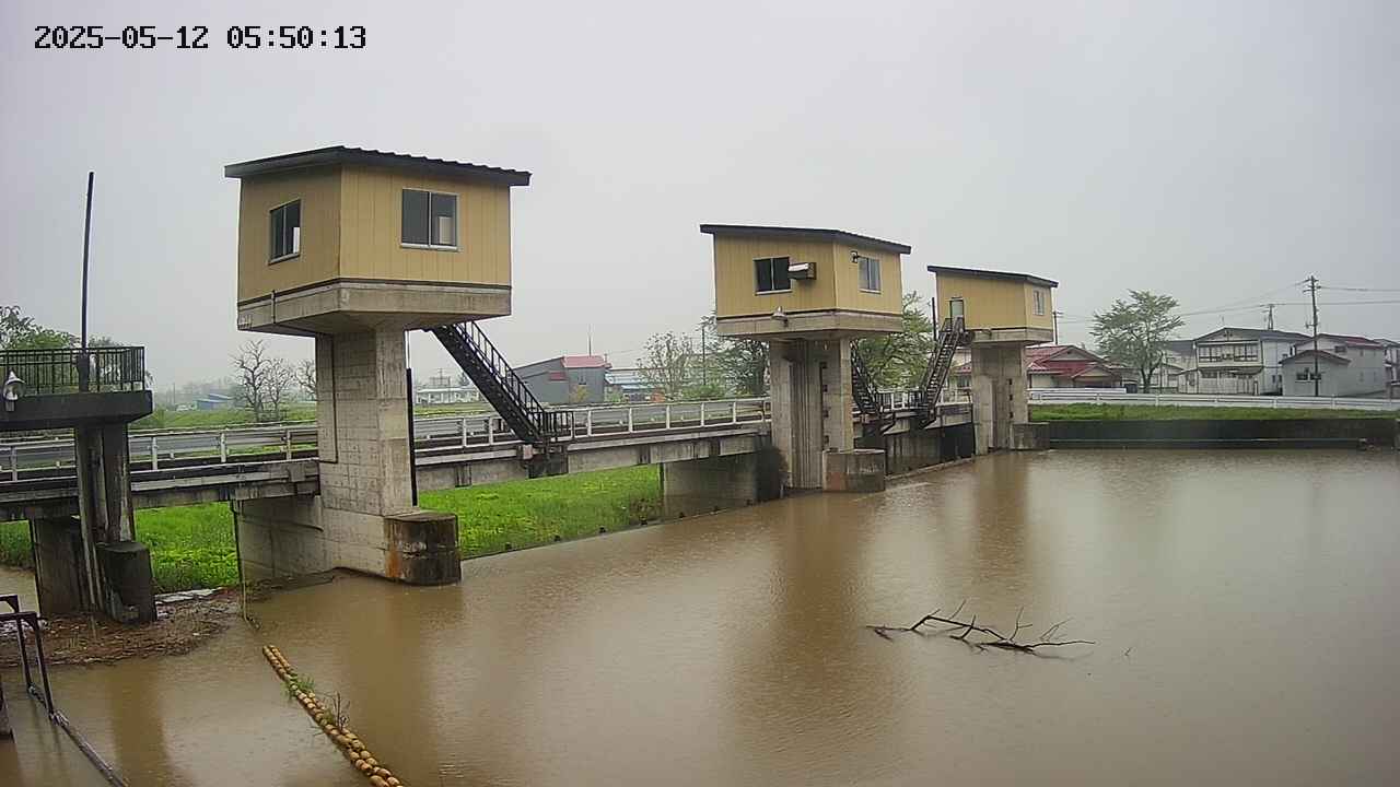 area1-20250512055015.jpg