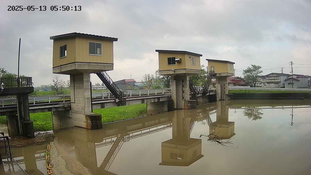 area1-20250513055014.jpg