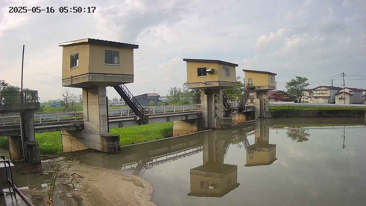 area1-20250516055019.jpg