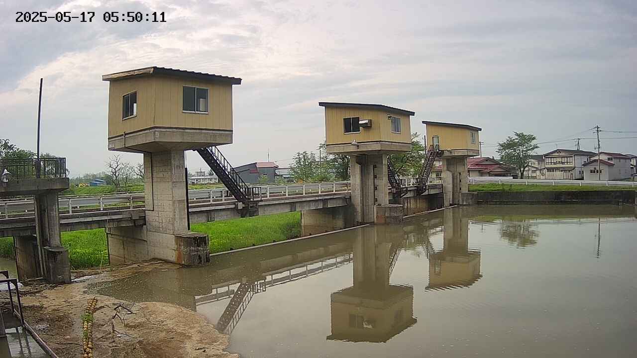 area1-20250517055012.jpg