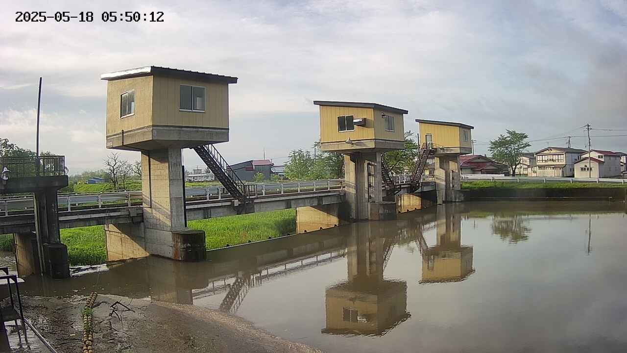 area1-20250518055013.jpg