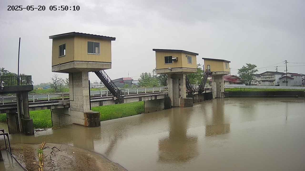 area1-20250520055011.jpg