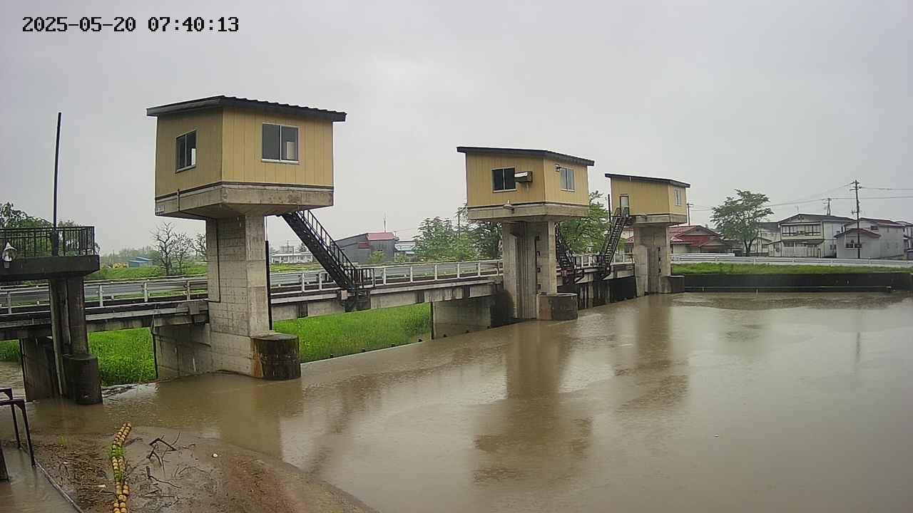 area1-20250520074014.jpg