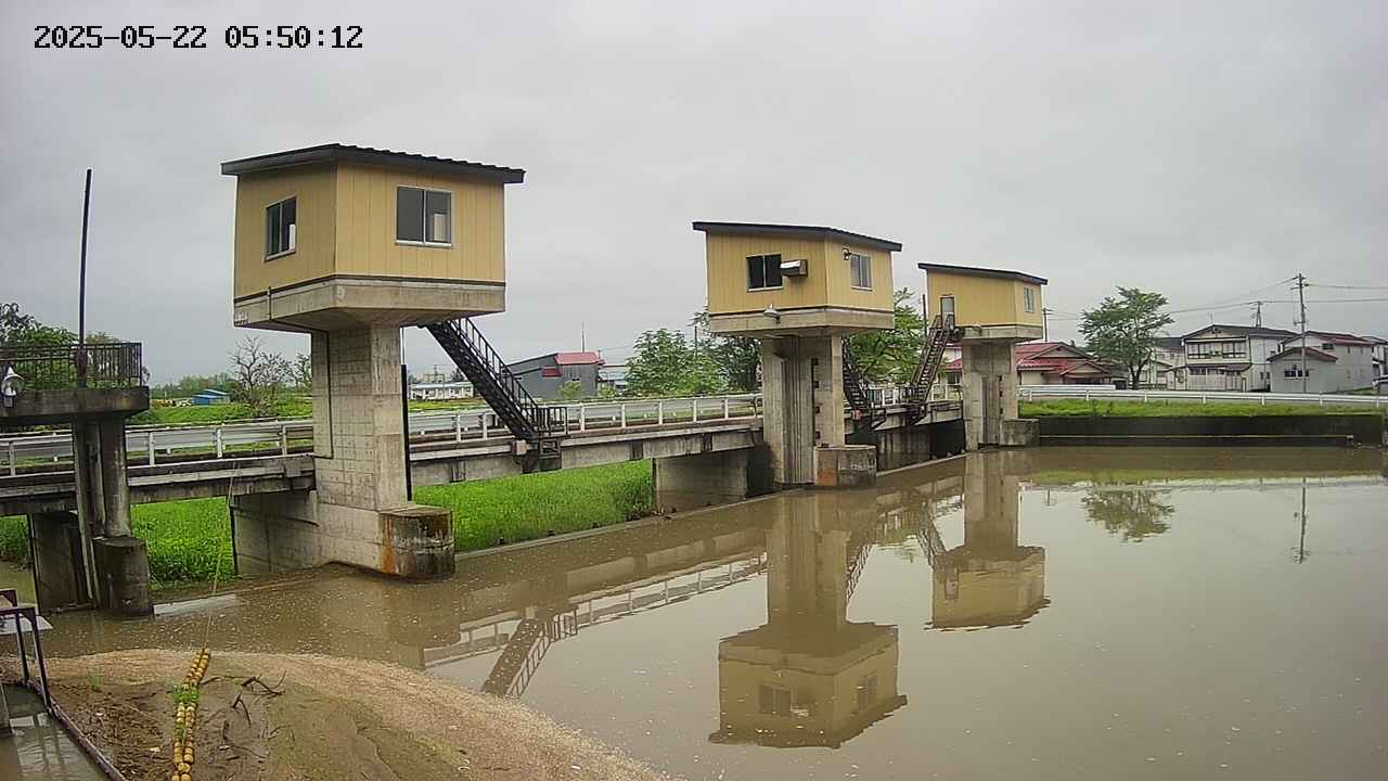 area1-20250522055013.jpg
