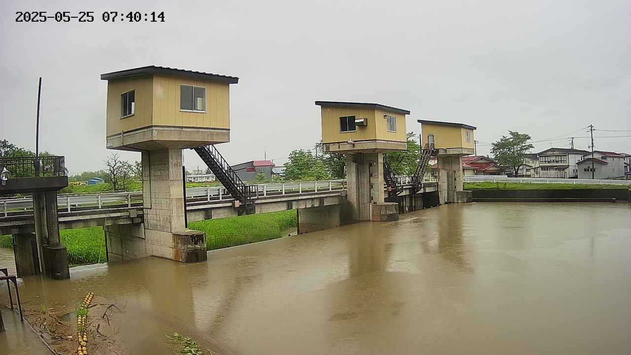 area1-20250525074014.jpg