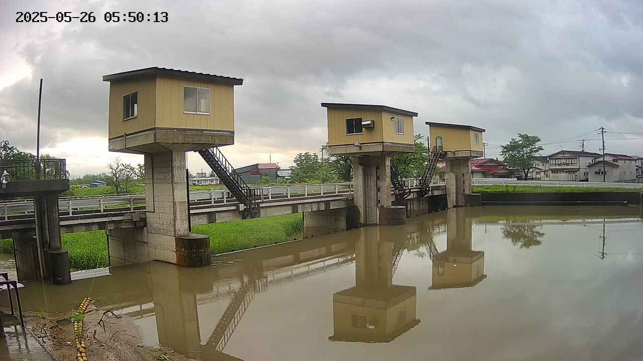 area1-20250526055014.jpg