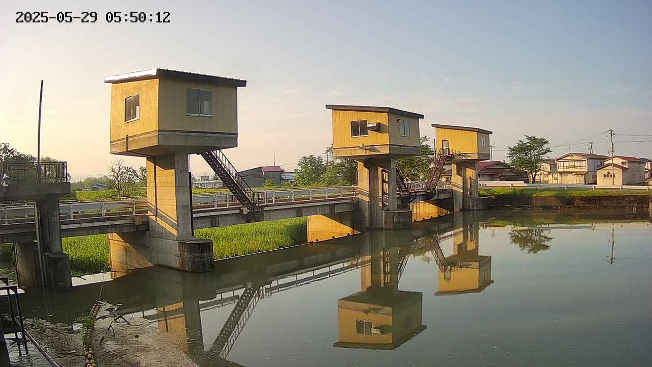 area1-20250529055013.jpg