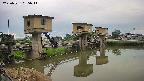 area1-20250531055015.jpg