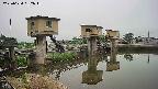 area1-20250624052013.jpg