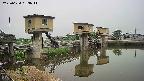 area1-20250624053012.jpg