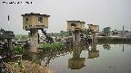 area1-20250624062014.jpg