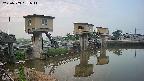 area1-20250703051012.jpg
