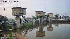 area1-20250703053015.jpg