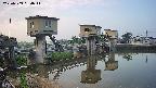 area1-20250703054012.jpg