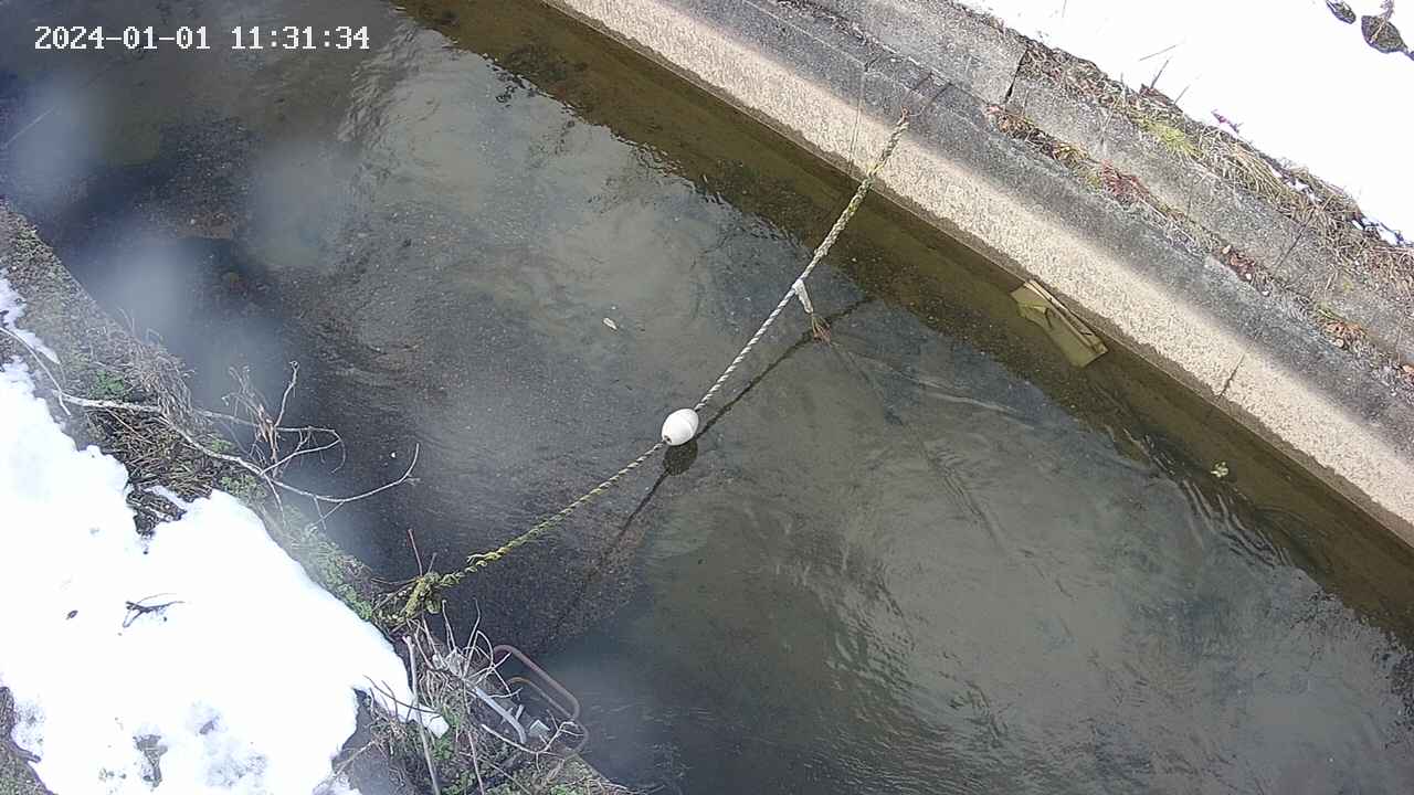 area10-20240101113135.jpg