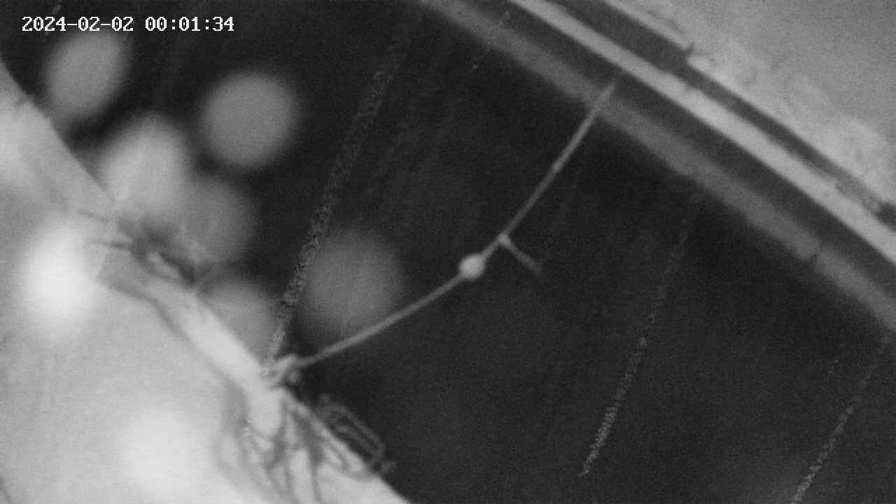 area10-20240202000135.jpg