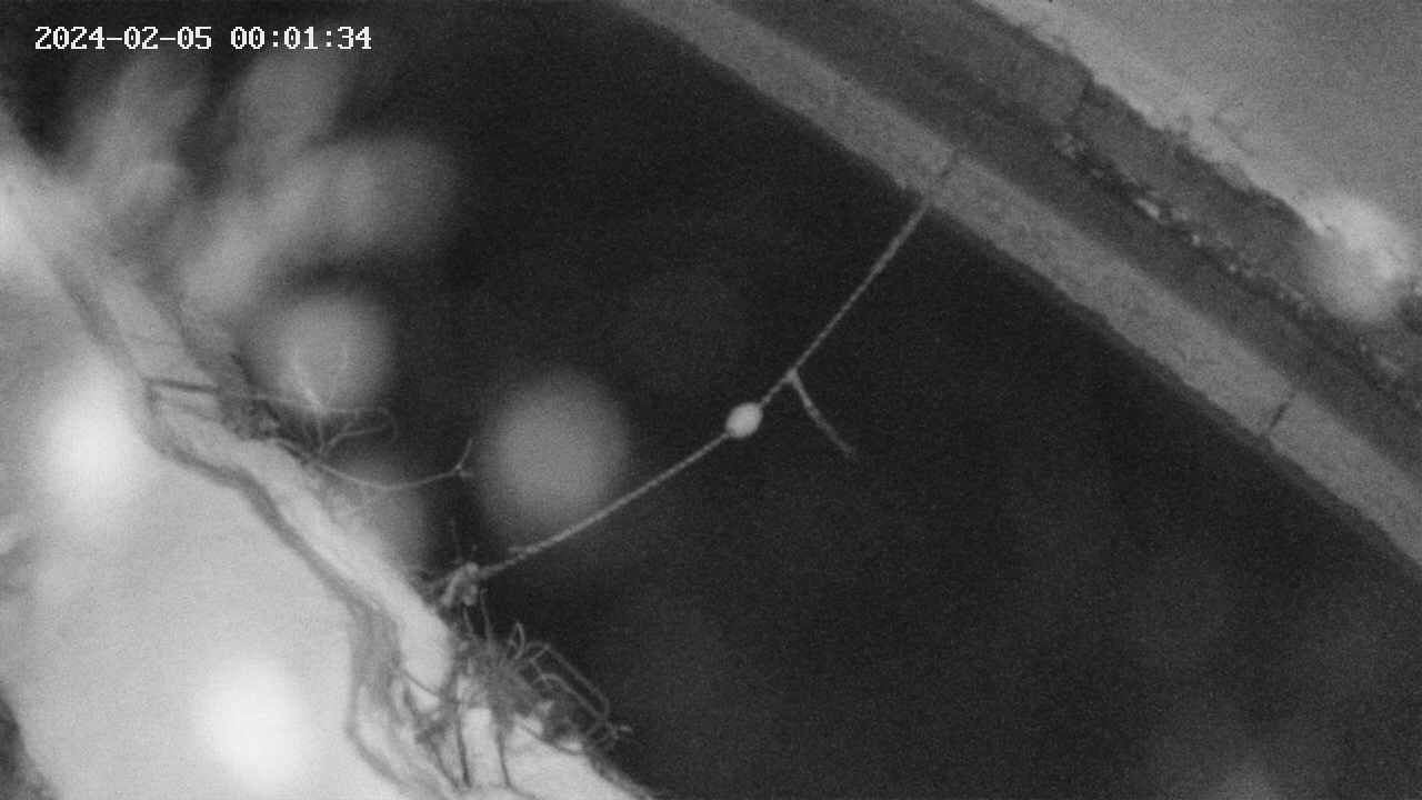 area10-20240205000134.jpg