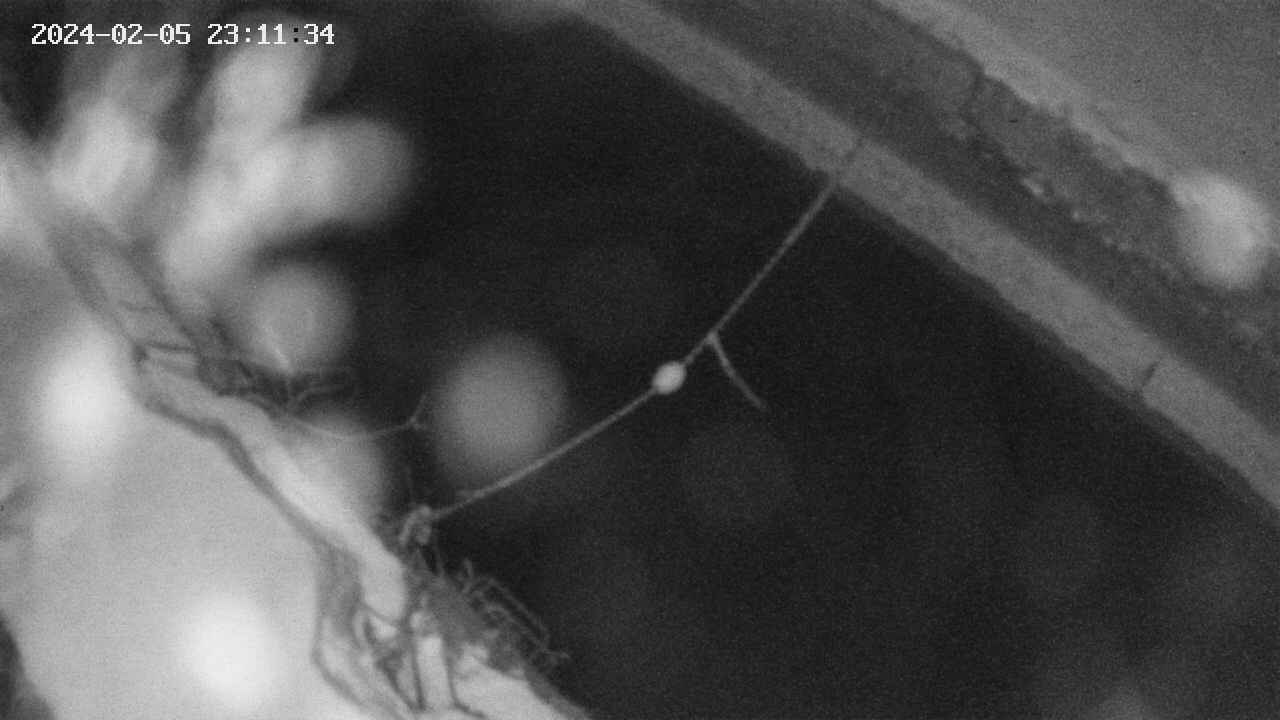 area10-20240205231134.jpg