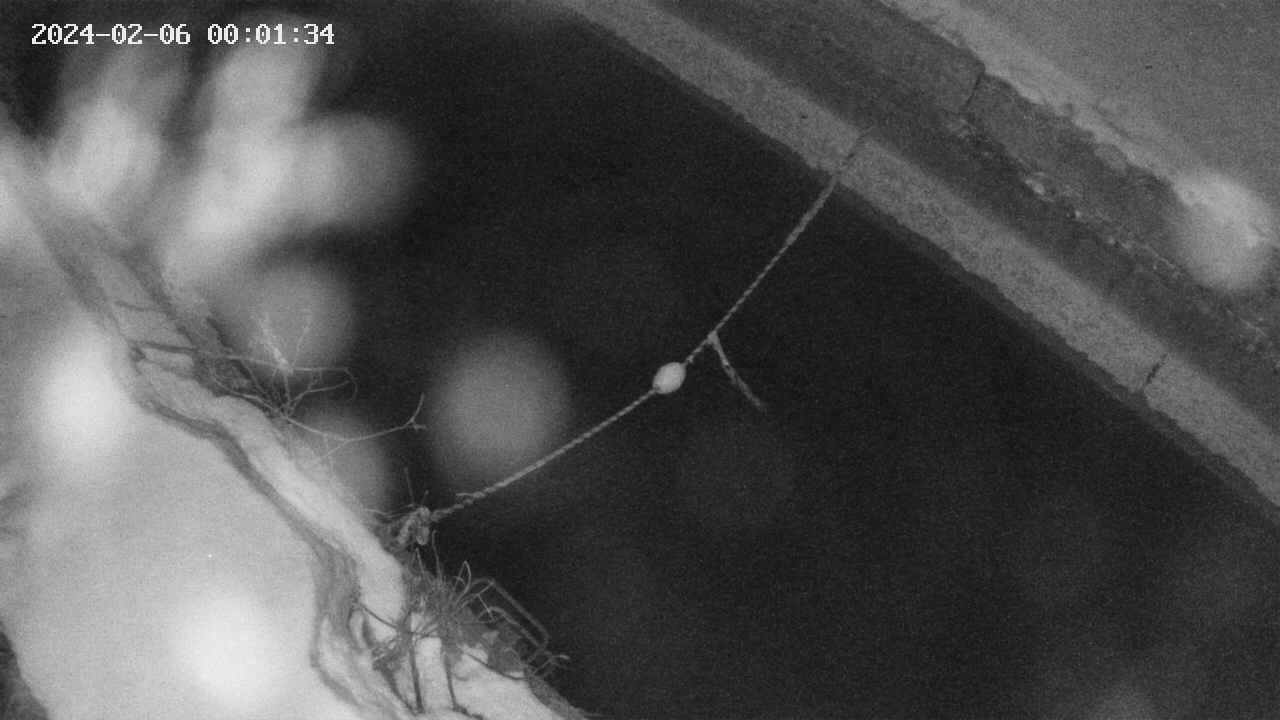 area10-20240206000134.jpg